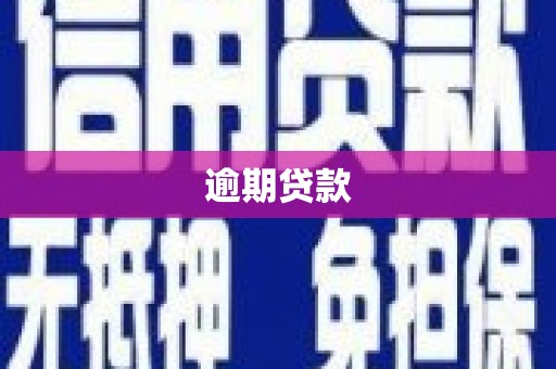 丰顺逾期贷款