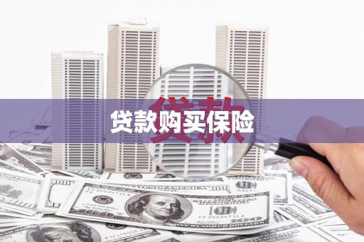 丰顺贷款购买保险