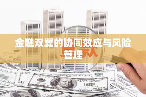 丰顺金融双翼的协同效应与风险管理