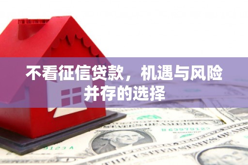 丰顺不看征信贷款，机遇与风险并存的选择