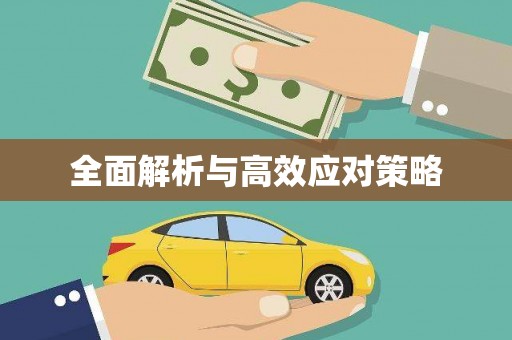 丰顺全面解析与高效应对策略