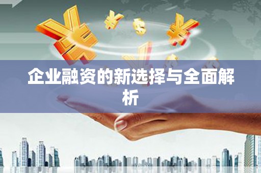 丰顺企业融资的新选择与全面解析