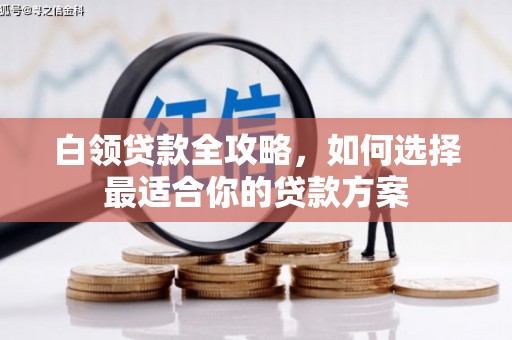 丰顺白领贷款全攻略，如何选择最适合你的贷款方案