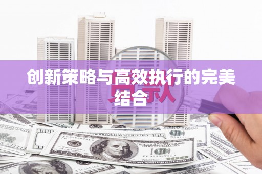 丰顺创新策略与高效执行的完美结合