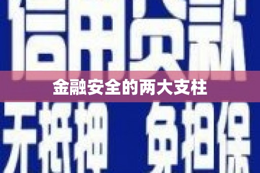 丰顺金融安全的两大支柱