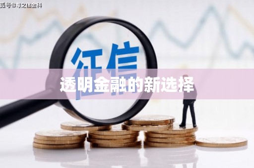 丰顺透明金融的新选择