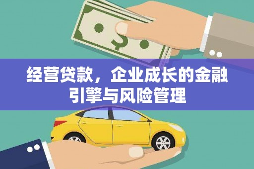 丰顺经营贷款，企业成长的金融引擎与风险管理
