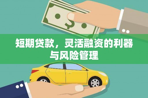 丰顺短期贷款，灵活融资的利器与风险管理