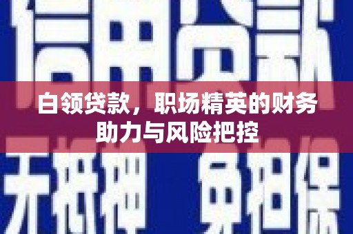丰顺白领贷款，职场精英的财务助力与风险把控